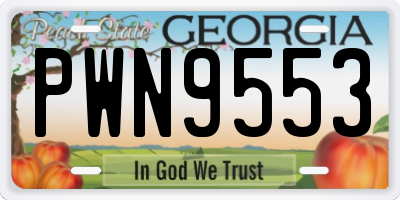 GA license plate PWN9553