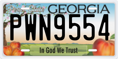GA license plate PWN9554
