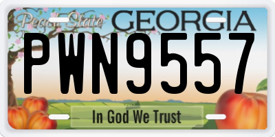 GA license plate PWN9557