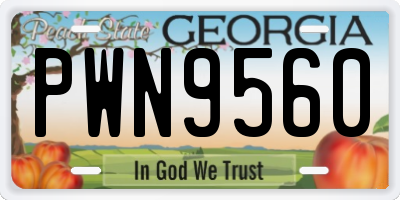 GA license plate PWN9560