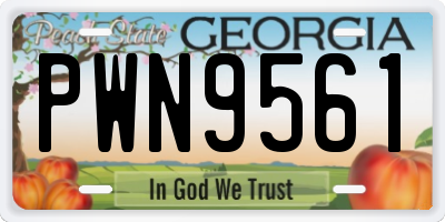 GA license plate PWN9561