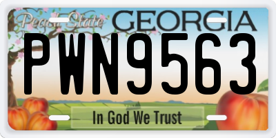 GA license plate PWN9563