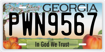 GA license plate PWN9567