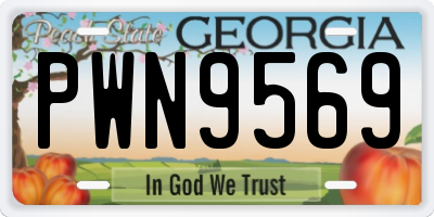 GA license plate PWN9569