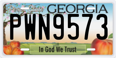 GA license plate PWN9573