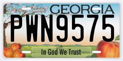 GA license plate PWN9575