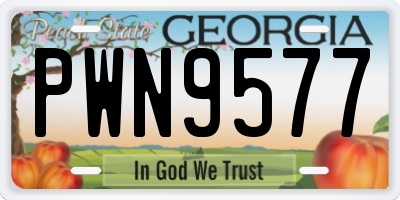 GA license plate PWN9577