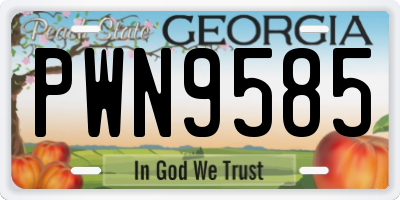 GA license plate PWN9585