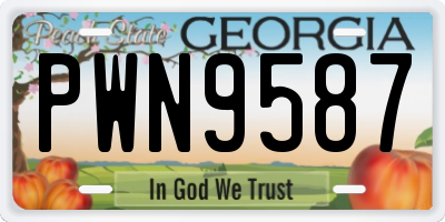 GA license plate PWN9587