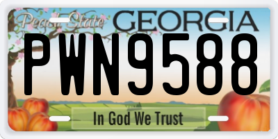 GA license plate PWN9588