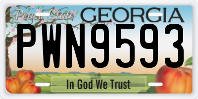 GA license plate PWN9593