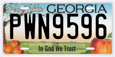 GA license plate PWN9596