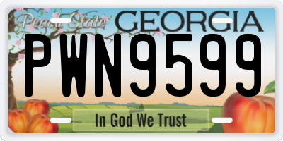 GA license plate PWN9599