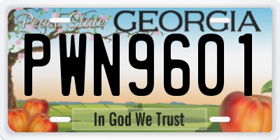 GA license plate PWN9601