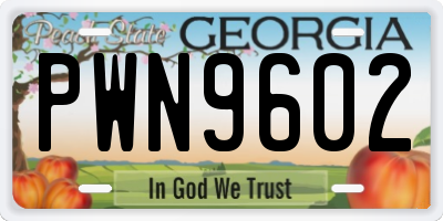 GA license plate PWN9602