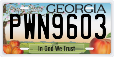 GA license plate PWN9603