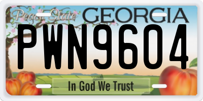 GA license plate PWN9604