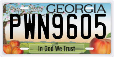 GA license plate PWN9605