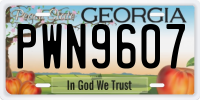 GA license plate PWN9607