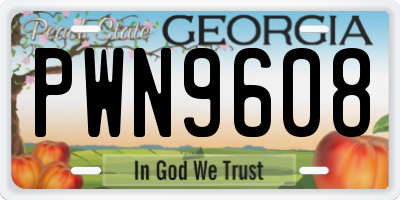 GA license plate PWN9608