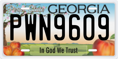 GA license plate PWN9609