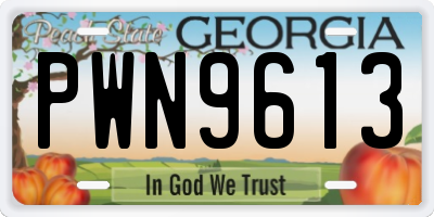 GA license plate PWN9613