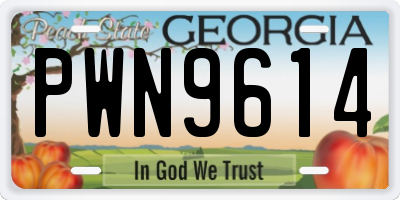 GA license plate PWN9614