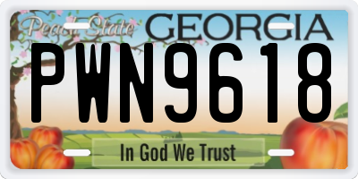 GA license plate PWN9618