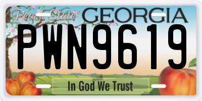 GA license plate PWN9619