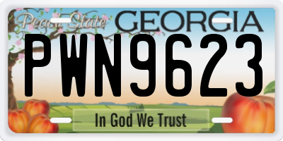 GA license plate PWN9623