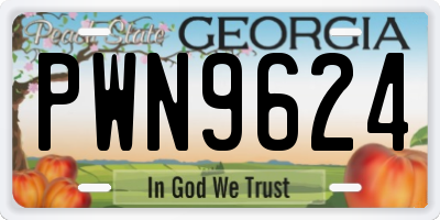 GA license plate PWN9624