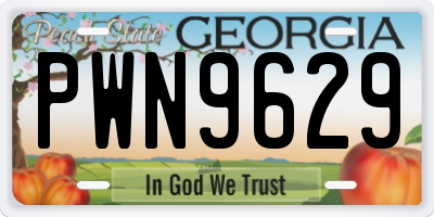 GA license plate PWN9629