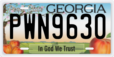 GA license plate PWN9630