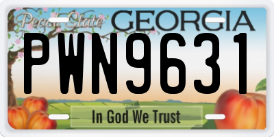 GA license plate PWN9631