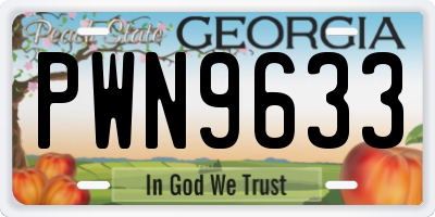 GA license plate PWN9633