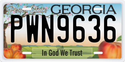 GA license plate PWN9636