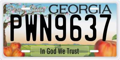 GA license plate PWN9637