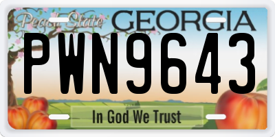 GA license plate PWN9643