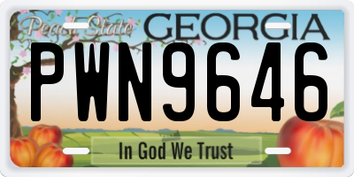 GA license plate PWN9646