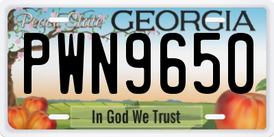 GA license plate PWN9650