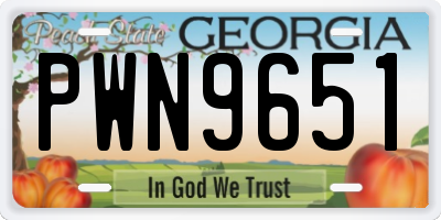 GA license plate PWN9651
