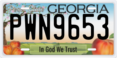 GA license plate PWN9653