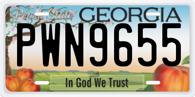 GA license plate PWN9655