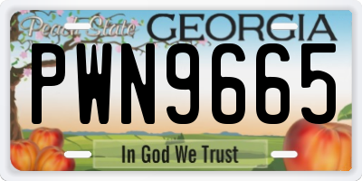 GA license plate PWN9665