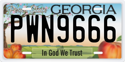 GA license plate PWN9666
