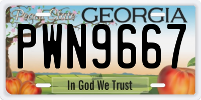GA license plate PWN9667