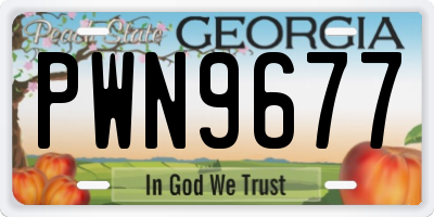 GA license plate PWN9677