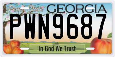 GA license plate PWN9687