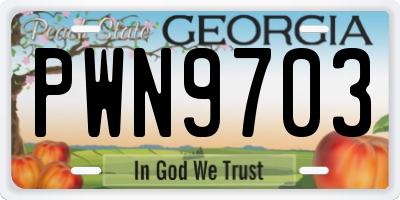 GA license plate PWN9703