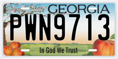 GA license plate PWN9713